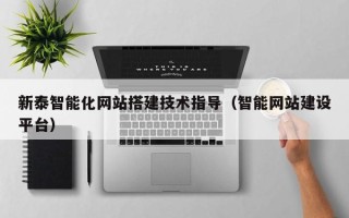 兴化新泰智能化网站搭建技术指导（智能网站建设平台）
